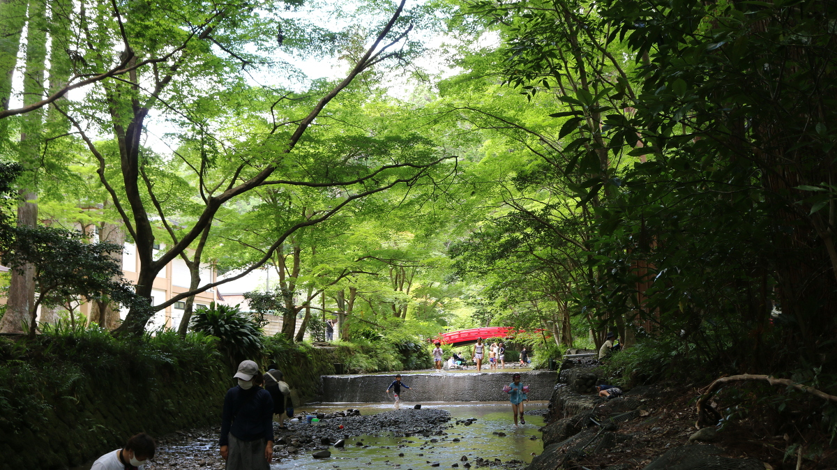 小國神社の夏 ～ 清流宮川での川遊びを楽しもう ～