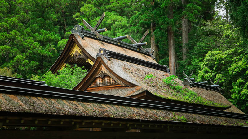 檜皮葺屋根の社殿
