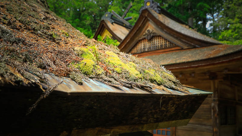 修復を必要とする檜皮葺屋根