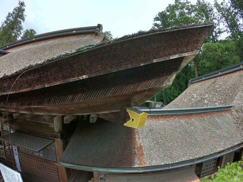 小國神社「渡り殿」修復を必要とする檜皮葺屋根