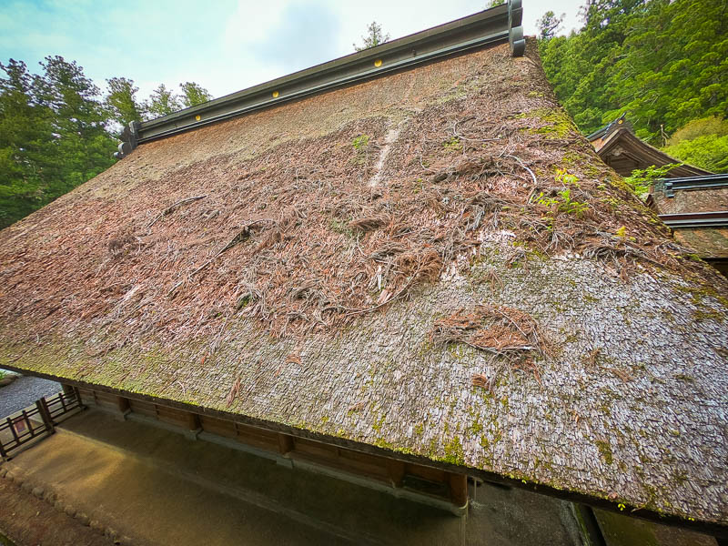 小國神社「神徳殿」修復を必要とする檜皮葺屋根
