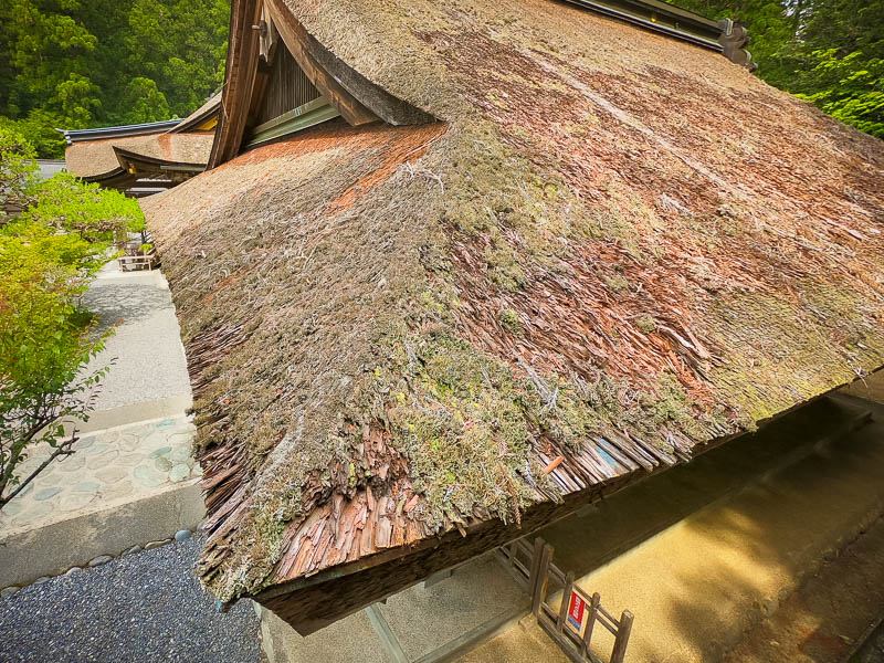 小國神社「神徳殿」修復を必要とする檜皮葺屋根