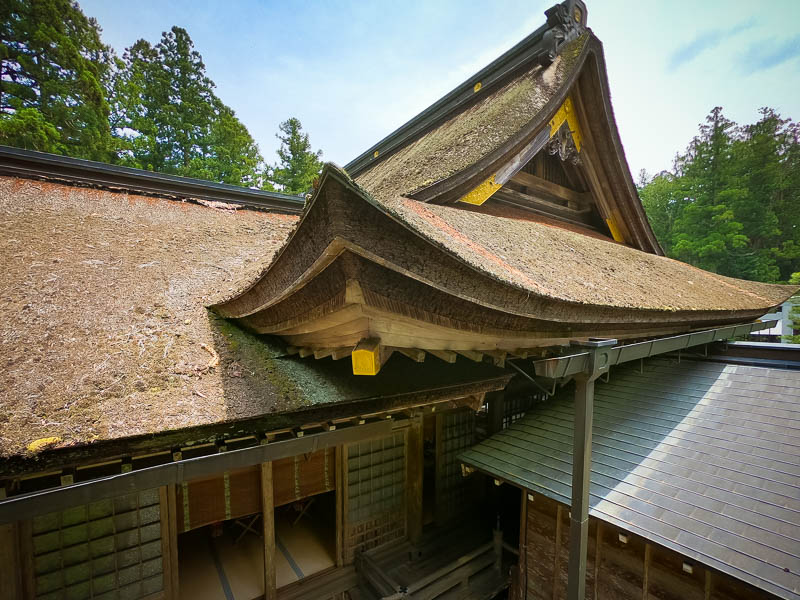 小國神社「拝殿」修復を必要とする檜皮葺屋根