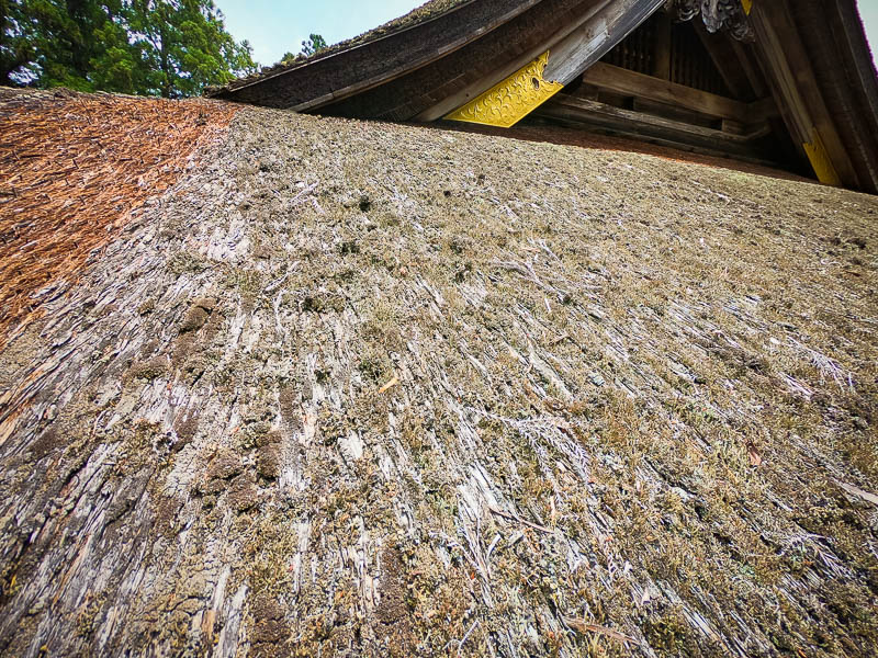 小國神社「拝殿」修復を必要とする檜皮葺屋根
