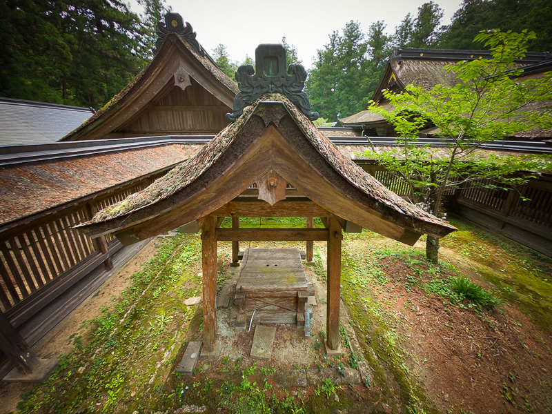 小國神社「真名井」修復を必要とする檜皮葺屋根