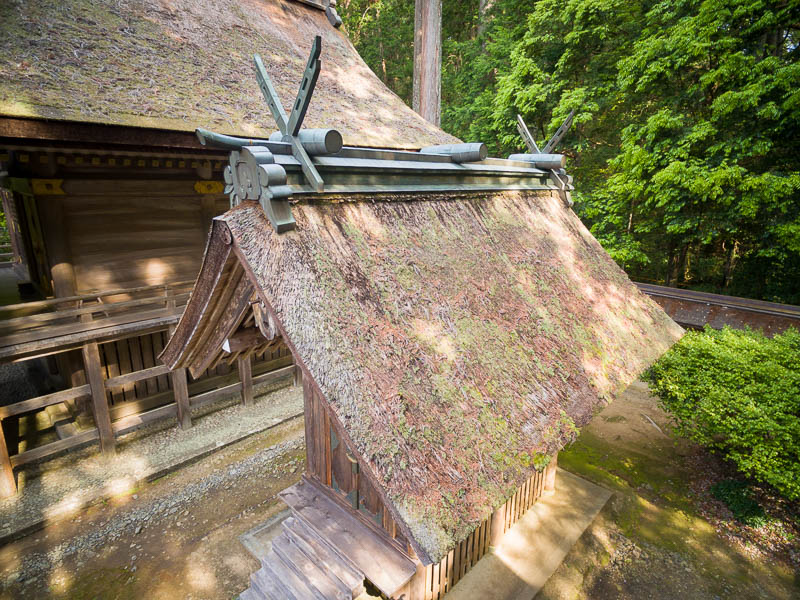 小國神社「並宮」修復を必要とする檜皮葺屋根