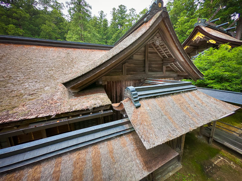 小國神社「中門・幣殿」修復を必要とする檜皮葺屋根