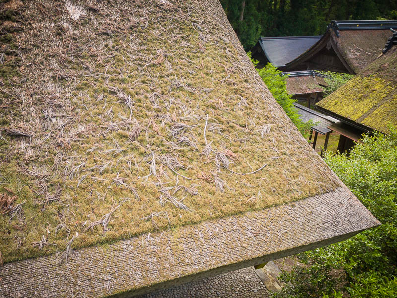 小國神社 修復前のお屋根「御本殿」